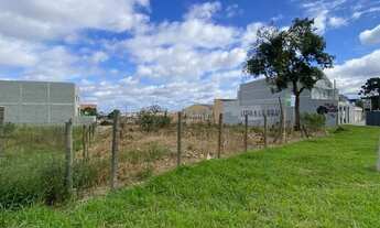 Imagem 2: PINHAIS - Terreno Padrão - Centro