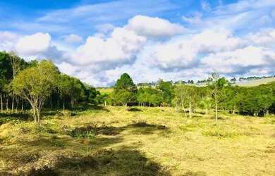 Imagem 6: Descubra o Paraíso: Terreno em Ibiúna com Vista para Vinícola!