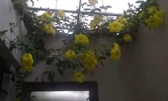 Imagem 7: São Paulo - Casa Padrão - Jaçanã