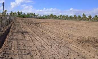 Imagem 6: Oportunidade - Vilaggio dos coqueiros