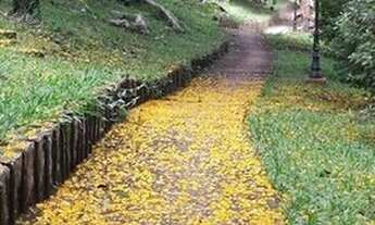 Imagem 6: Terreno à venda no bairro Centro - Cabreúva/SP