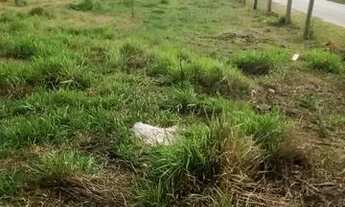 Imagem 3: 3 km do centro de Ibiúna a 250 m do Clube de Campo de Ibiúna