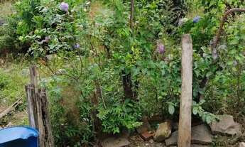 Imagem 2: Vendo terreno em Luminárias MG 1000mt