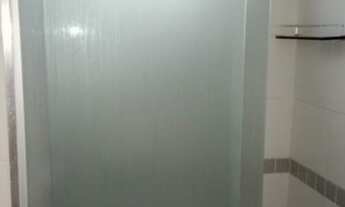 Imagem 7: Alugo samambaia sul