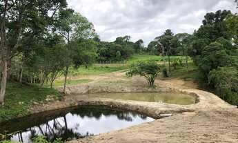 Imagem 6: Chácara com tanque de peixe