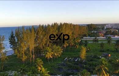 Imagem 4: Terreno frente mar à venda, Praia de Guaibim - Valença Bahia