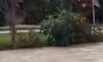 Imagem 3: VENDO LINDO SÍTIO EM MARECHAL DEODORO - AL