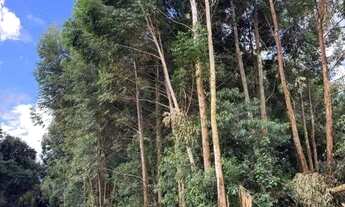 Imagem: Área à venda, 21000 m² por R$ 1.500.000,00