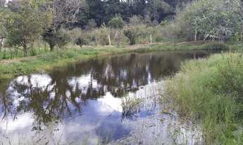 Imagem 6: Sítio Zaduski Chácara com venda por R$250.000