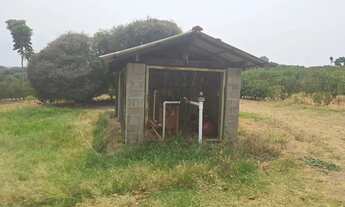 Imagem 2: Fazenda de Café Porteira Fechada Região de Ribeirão Preto SP