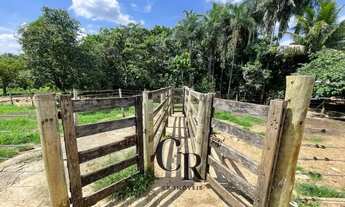 Imagem 7: Chácara a 3Km de Bela Vista - GO