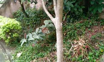 Imagem 5: Terreno na Vila Formosa