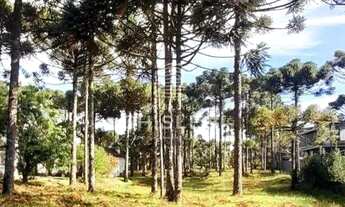 Imagem 5: LINDO TERRENO PLANO NO ASPEN MOUNTAIN