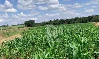 Imagem: EXCELENTE Sitio com 30 alqueires na região