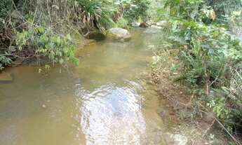 Imagem 5: Venda-se está chácara de 2 hectares no interior do Município de Atílio Vivacqua-ES