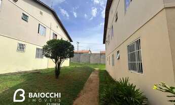 Imagem 3: Porto das Araras