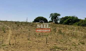 Imagem 7: Fazenda 169,42 Alqueires (820 Hectares) Ipameri - GO