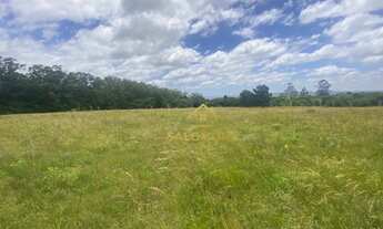 Imagem 6: Salomone vende área com 4 hectares dentro de condomínio perto da RS040