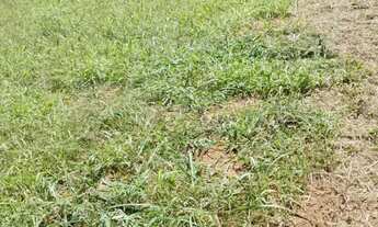 Imagem 4: Grande oportunidade em Marechal Floriano!