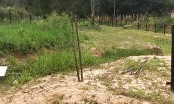 Imagem 3: Terreno 650 mil metros