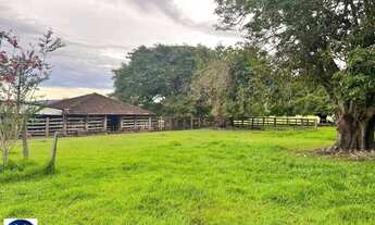 Imagem: Fazenda à Venda em Crixás - GO