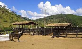 Imagem 6: Fazenda de 320 ha com casarão antigo a 280 km de BH, Sabinópolis. Sabinópolis