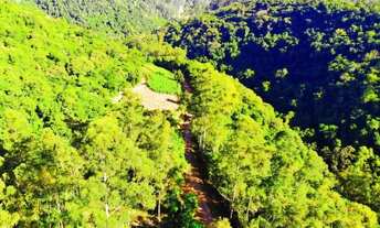 Imagem 5: Sítio / Chácara para Venda em Nova Petrópolis, Arroio Paixão