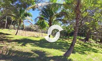 Imagem 4: Área à venda, 13257 m² por R$ 2.750.000,00 - Várzea das Moças - Niterói/RJ