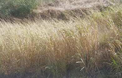 Imagem 6: TERRENO CONDOMÍNIO CRUZEIRO