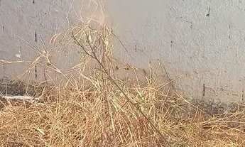 Imagem: Vendo kitinete