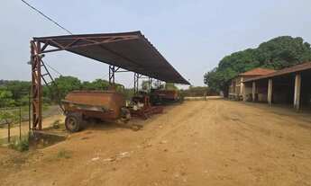 Imagem 3: Fazenda de Café Porteira Fechada Região de Ribeirão Preto SP