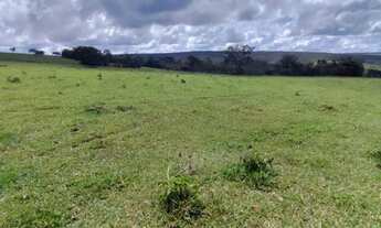 Imagem 6: Vendo chcara Fazenda / sítio com venda por R$2.500.000