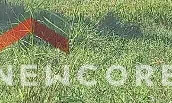 Imagem 4: Chácara em Santa Lúcia - Centro - Santa Lúcia/PR