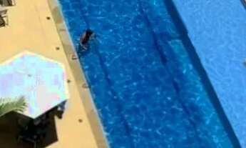 Imagem 7: APARTAMENTO 2/4 COM SUITE NO VIVAI IMBUI