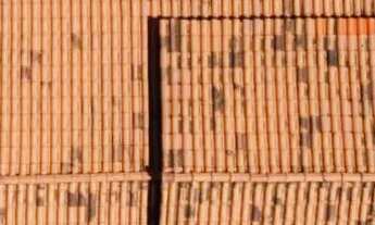 Imagem 2: CASA TÉRREA COM LAJE E TERRENO DE 420m2