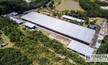 Imagem 6: Galpão para alugar, 4300 m² por R$ 92.350,01/mês - Centro Industrial de Aratu - Simões Fil