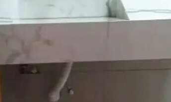 Imagem 5: Belo Horizonte - Casa Padrão - Copacabana