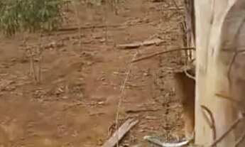 Imagem 4: Avenida DMonjolo Quadra 605 - Recanto das Emas - Brasilia, lote de 472 metros quadrados