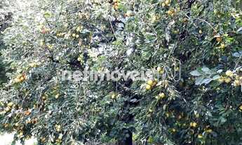 Imagem 2: Oportunidade Imperdível na Pompéia BH! Casa Ampla com 5 Quartos e Enorme Quintal!