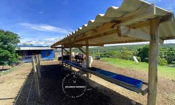 Imagem 3: Chácara c/ 3 alqueires , Porteira fechada 6 km de Abadiânia - GO, aceita imóveis em Anápol