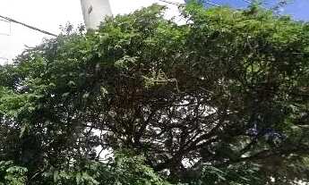 Imagem: Apartamento com 3 Quarto(s) e 2 banheiro(s)