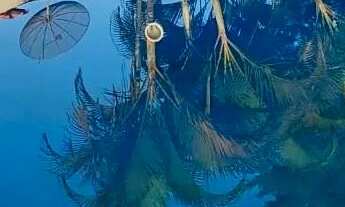 Imagem 4: Casa dos sonhos em ITANHAÉM - SP