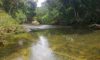 Imagem 2: Chacara de 2300 metros com muita agua 9 * WhtsAAP