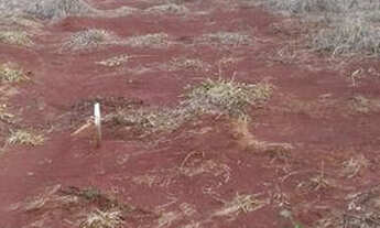 Imagem 3: Recanto Amigos da Natureza Londrina