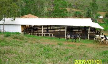 Imagem 6: Sítio à venda com 8 hectares - Rio Novo / MG