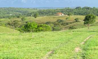 Imagem 3: Vendo fazenda em Ipuaçu