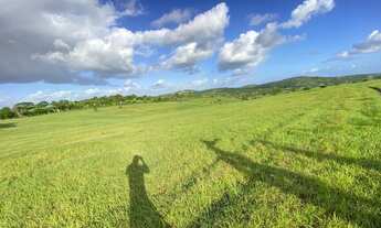 Imagem 2: Vendo fazenda em Ipuaçu