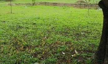 Imagem 2: Terreno em Guapimirim