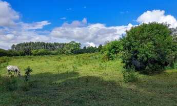 Imagem: Excelente Área Residencial ou Comercial