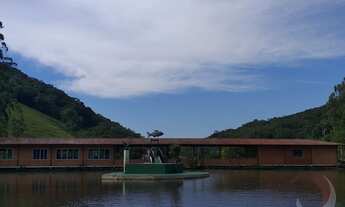 Imagem 5: Fazenda/Sítio/Chácara para venda com 49943 metros quadrados com 5 quartos